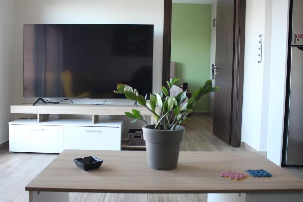 Agnes Apartment Filopappou アテネ エクステリア 写真