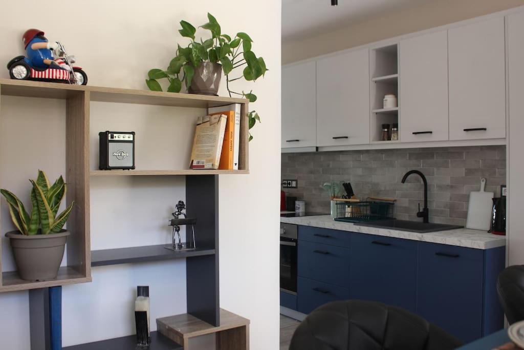 Agnes Apartment Filopappou アテネ エクステリア 写真